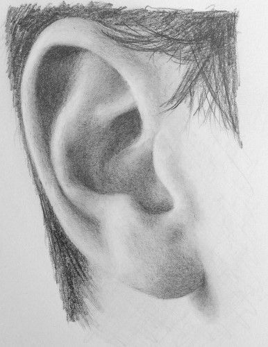 Easy Drawing Ear Pin by Kacy On Art Pinterest Drawings Realistic Drawings and Art