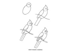 Easy Drawing for 7th Class 72 Best Birds Art Projects for Kids Images Art Projects Art for