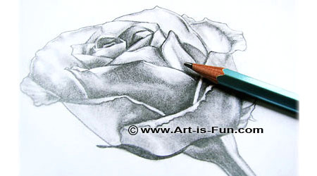 Easy Drawing for Class 12 Drawing Lessons Easy Step by Step Drawing Tutorials Teach You How