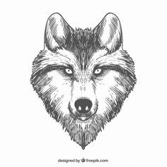 Easy Drawing Gray Wolf 184 Best Clip Art Wolf Etc Images In 2019 Drawings Paintings Wolves