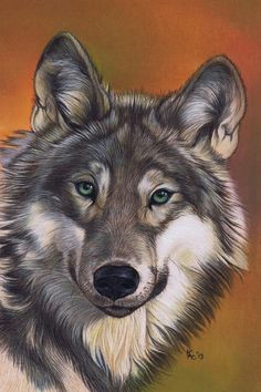 Easy Drawing Gray Wolf 257 Best Wolves In Art 2 Images Wildlife Art Gray Wolf Timber Wolf