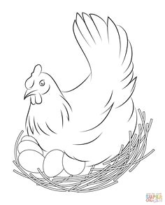 Easy Drawing Hen How to Draw A Rooster Step 5 Roosters Drawings Rooster