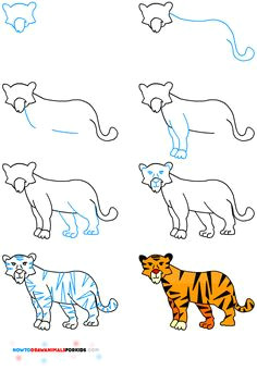 Easy Drawing Jungle Animals 82 Best Tigers Drawing and Painting Tigers Images Tiger Drawing