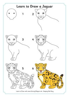 Easy Drawing Jungle Animals 967 Best How to Draw Tutorials Images Doodle Drawings Easy
