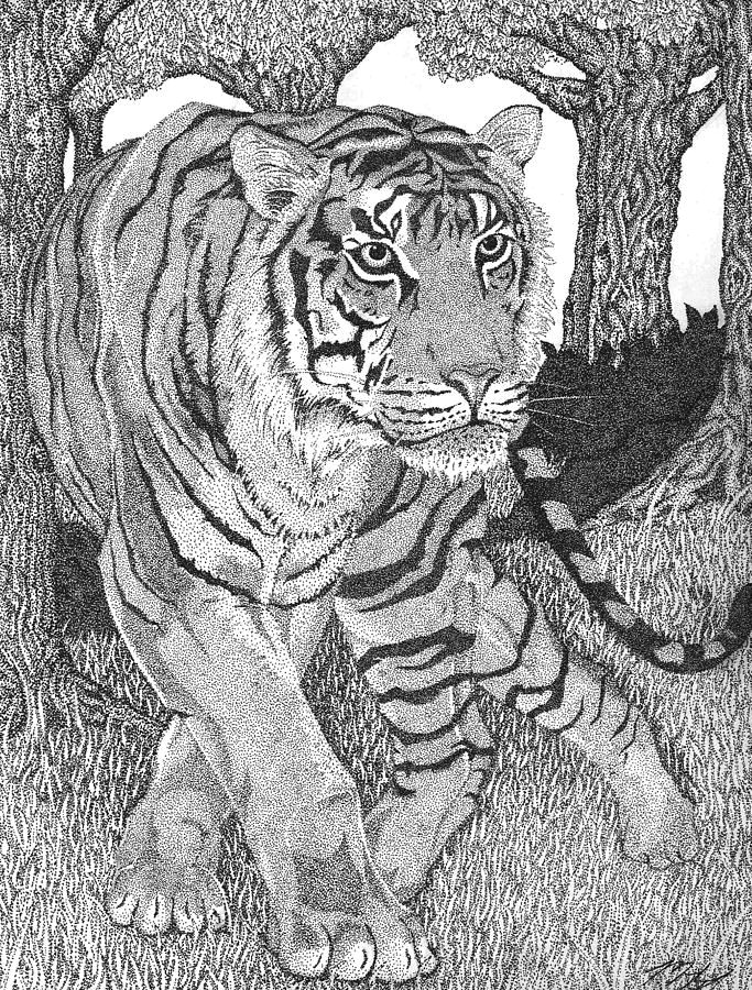 Easy Drawing Jungle Famous Tiger Paintings Jungle Prince Stipple Drawing Jungle