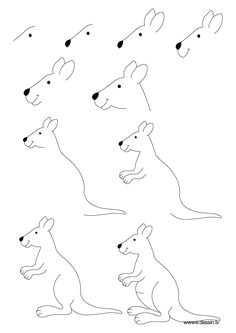 Easy Drawing Kangaroo 252 Best How to Draw A Images In 2019 Easy Drawings How to