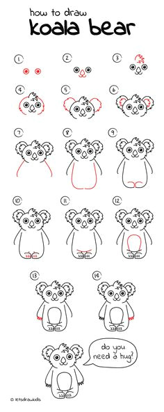 Easy Drawing Koala 50 Best Easy Drawing Steps Images Easy Drawings Step by Step