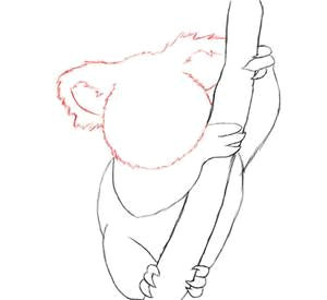 Easy Drawing Koala How to Draw Koala Tutorials Bing Images Art Pinterest