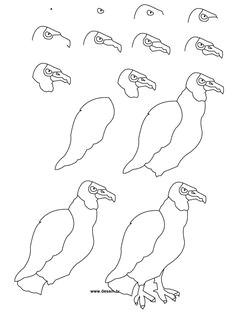 Easy Drawing Lizard Here You Can Find some New Design About How to Draw A Lizard Step