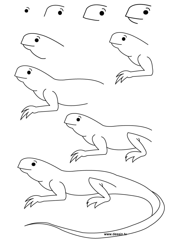 Easy Drawing Lizard Here You Can Find some New Design About How to Draw A Lizard Step