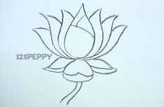 Easy Drawing Lotus 71 Best Drawing Shit Images Sketches Drawings Ideas for Drawing