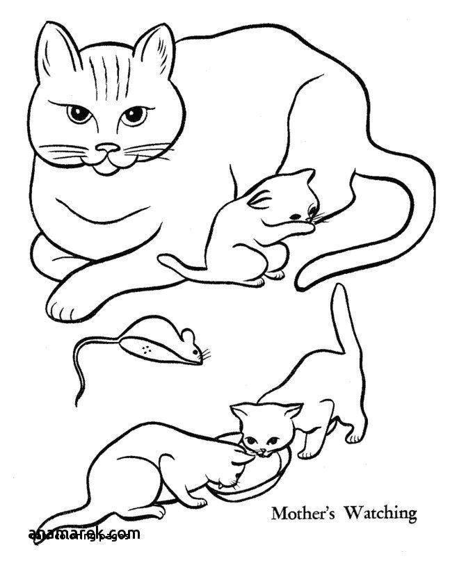 Easy Drawing Of A Black Cat How to Draw A Dog Step by Step Black Cat Coloring Pages New Black