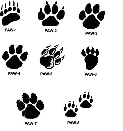 Easy Drawing Of A Dog Paw Tiger Paw Prints Walking Drawing Cougar Paw Prints Cougar Paw