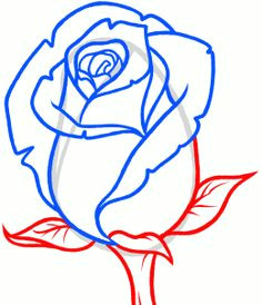 Easy Drawing Of A Rose Bud How to Draw A Peony Peony Flower Step by Step Flowers Pop