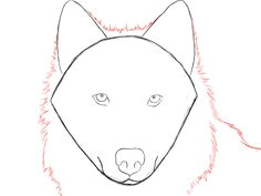 Easy Drawing Of A Wolf Face How to Draw A Wolf Face Google Search Wolves Drawings Art