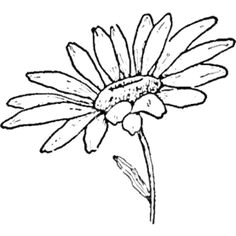 Easy Drawing Of Daisy Flower 140 Best Flower Drawings Images Doodles Flower Designs Doodle Art