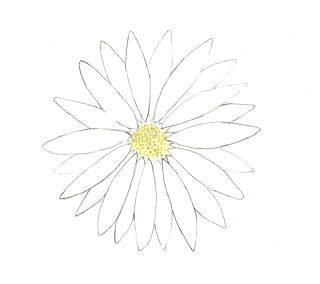Easy Drawing Of Daisy Flower Flower Drawing Easy Flowers Drawingchallenge Flower Flower