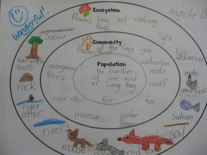 Easy Drawing Of Ecosystem Ecosystem Community and Population Concentric Circle Map Would
