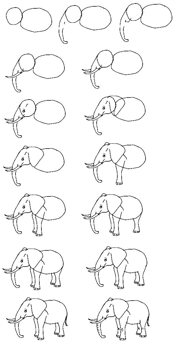 Easy Drawing Of Elephant Learn to Draw A Real Elephant Step by Step Http Profotolib Com