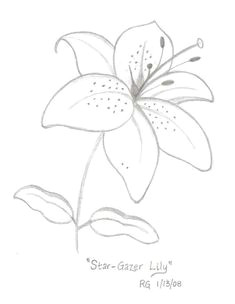 Easy Drawing Of Flower Garden Credit Spreads In 2019 Drawings Pinterest Pencil Drawings
