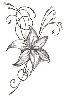 Easy Drawing Of Jasmine Flower 359 Best Drawing Images Art for Kids Easy Drawings How to Draw