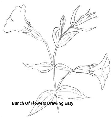 Easy Drawing Of Jasmine Flower Bunch Of Flowers Drawing Easy Prslide Com