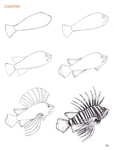 Easy Drawing Of Under the Sea 291 How to Draw Seaweed for Kids Step by Step Gif 735a 1000 How