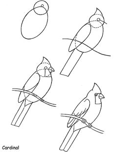 Easy Drawing Of Uttarayan 306 Best Drawing Birds Images Pencil Drawings Bird Drawings