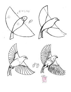 Easy Drawing Of Uttarayan 306 Best Drawing Birds Images Pencil Drawings Bird Drawings