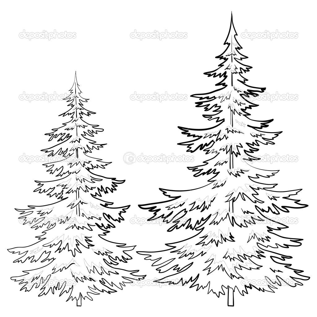 Easy Drawing Of Xmas Tree Pine Tree Drawings Black and White Stencils Drawings Tree