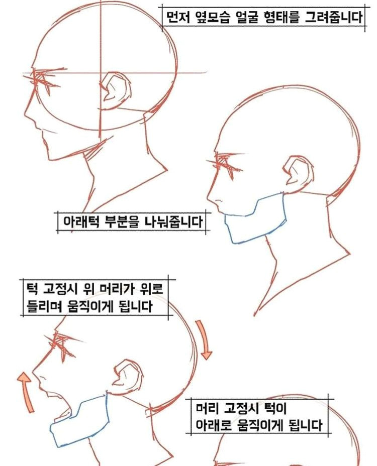 Easy Drawing References Side Profile View Drawing References Jim In 2019 Pinterest