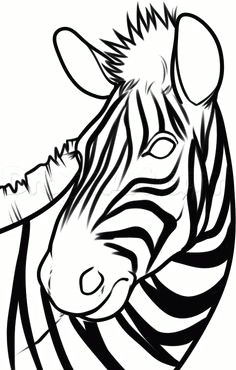 Easy Drawing Zebra Head 38 Best Serengeti Safari Park Images Drawings African Safari Draw