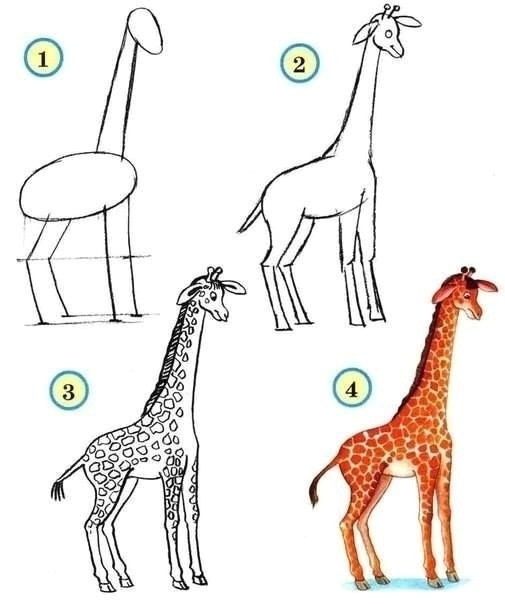 Easy Drawing Zoo Animals How to Draw Zoo Animals Easily Aktivity Pro Deti Matematika