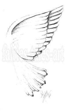 Easy Drawings Angels 306 Best Drawing Birds Images Pencil Drawings Bird Drawings