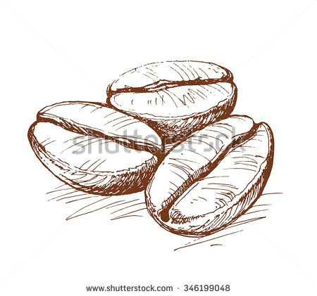 Easy Drawings Coffee Painted Coffee Beans Coffee Beans Coffee Sketch Of Coffee Beans