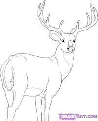 Easy Drawings Deer 128 Best Appliques Images Backgrounds Background Images Easy