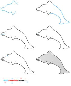 Easy Drawings Dolphin 66 Best How to Draw A Images Easy Drawings Art Lessons