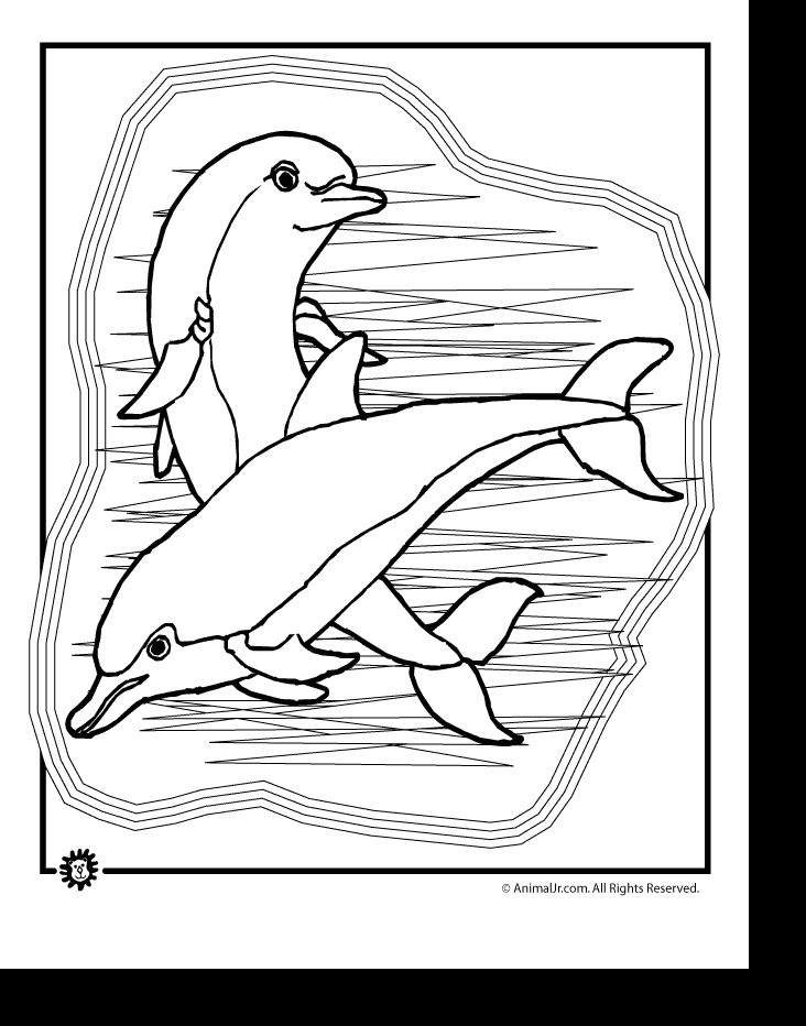 Easy Drawings Dolphin Learn How to Draw A Dolphin with This Simple Easy and Fun and Step
