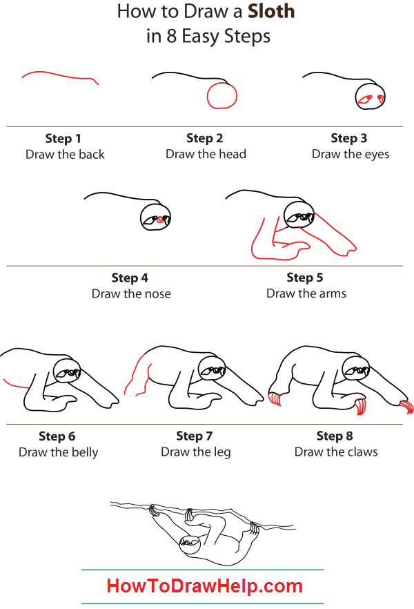 Easy Drawings Eyes Step by Step How to Draw A Sloth Step by Step Belt is Our Favourite Character