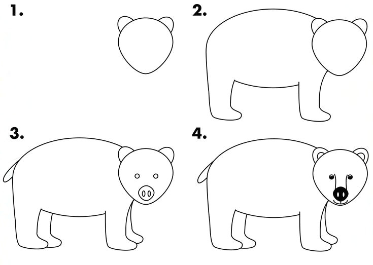 Easy Drawings for 12 Year Olds Pdf How to Draw A Black Bear for Kids Draw Bear Wildlife Center