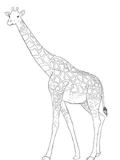 Easy Drawings Giraffe How to Draw A Giraffe orry Drawings Giraffe Drawing Art Drawings