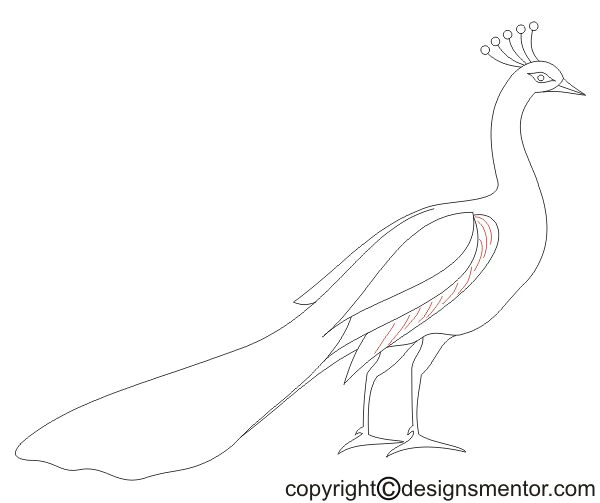 Easy Drawings In Hindi How to Draw A Peacock Simple and Step by Step Method to Draw