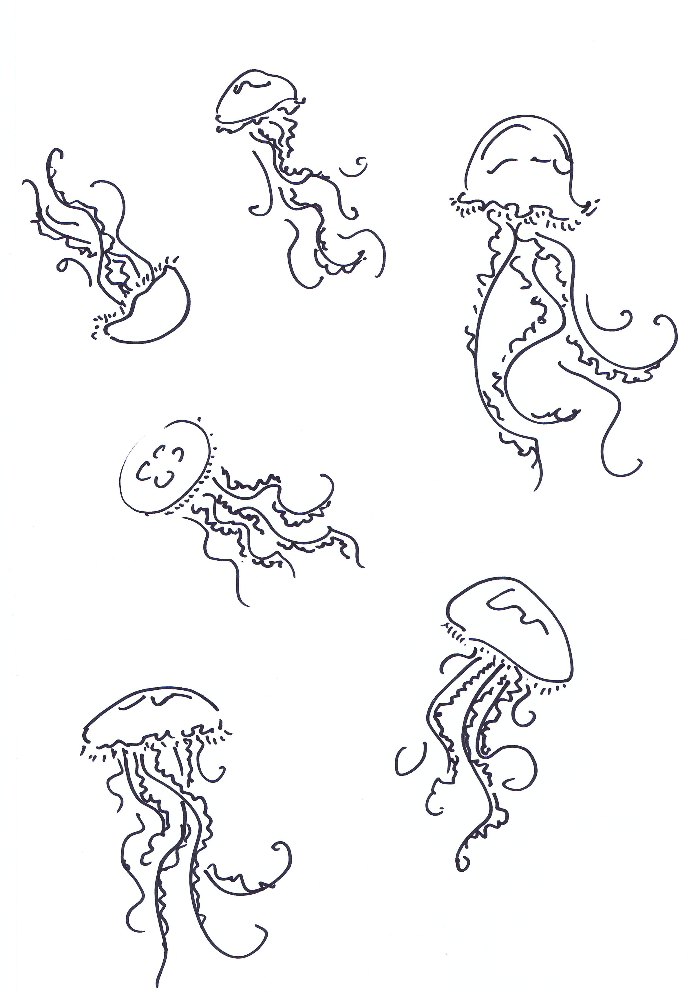 Easy Drawings Jellyfish 3656 Best Pen Drawings Images In 2019 Painting Drawing Drawings