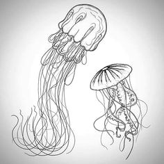 Easy Drawings Jellyfish 53 Best Jellyfish Drawing Images Marine Life Ocean Creatures