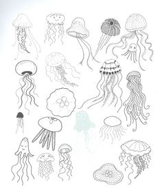 Easy Drawings Jellyfish 75 Best Tattoo Images In 2019 Easy Drawings Doodles Simple Drawings
