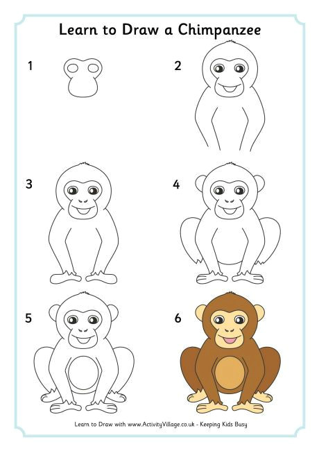 Easy Drawings Monkey Magra Per Disegnare Uno Scimpanze Haileys Drawings Drawings