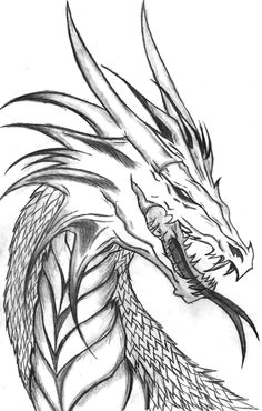 Easy Drawings Of Dragons Heads 968 Best Dragon Drawings Images Mandalas Coloring Books
