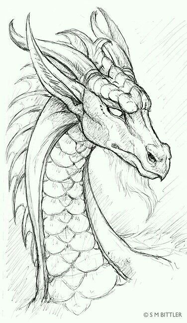 Easy Drawings Of Dragons Heads Dragon Pencil Drawing Art Drawings Pencil Drawings Dragon Sketch