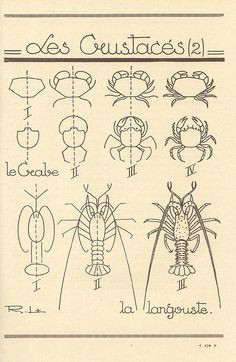 Easy Drawings Of Egypt 967 Best How to Draw Tutorials Images Doodle Drawings Easy