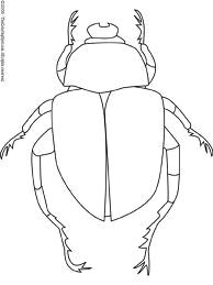 Easy Drawings Of Egypt Drawing Of Dung Beetle Clearly Shows Different Body Parts Study for